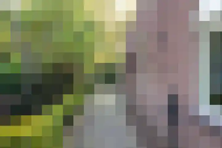 Julianaparklaan 3 Utrecht thumbnail 85