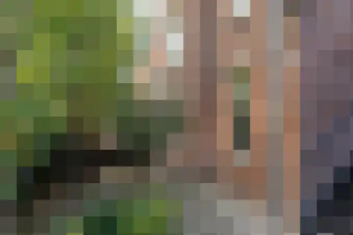 Julianaparklaan 3 Utrecht thumbnail 86