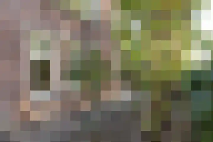 Julianaparklaan 3 Utrecht thumbnail 87