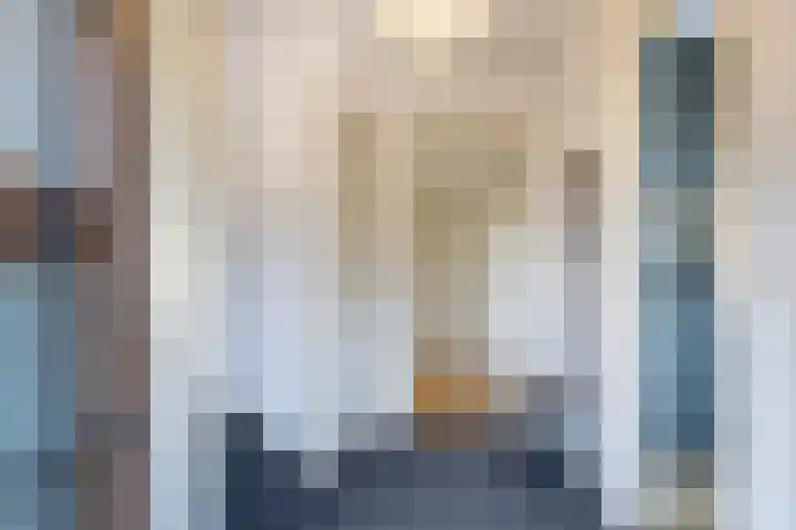 Julianaparklaan 3 Utrecht thumbnail 9