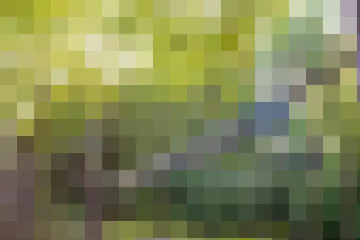 Julianaparklaan 3 Utrecht thumbnail 90