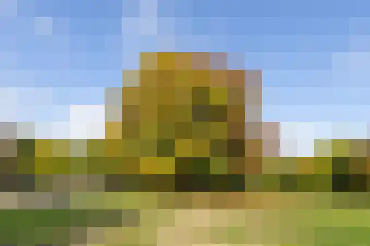 Julianaparklaan 3 Utrecht thumbnail 91
