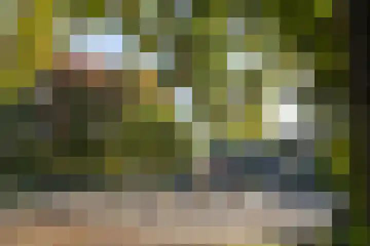 Julianaparklaan 3 Utrecht thumbnail 92
