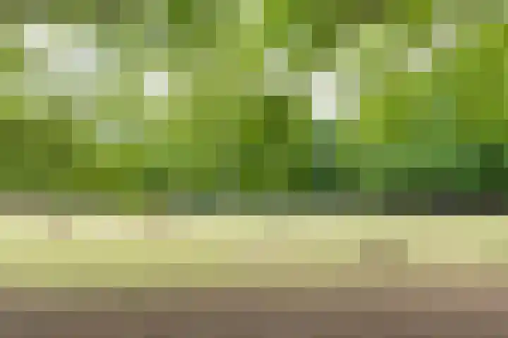 Julianaparklaan 3 Utrecht thumbnail 93