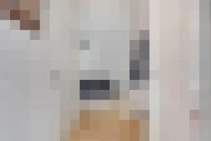 Julianaplantsoen 112 Diemen thumbnail 11