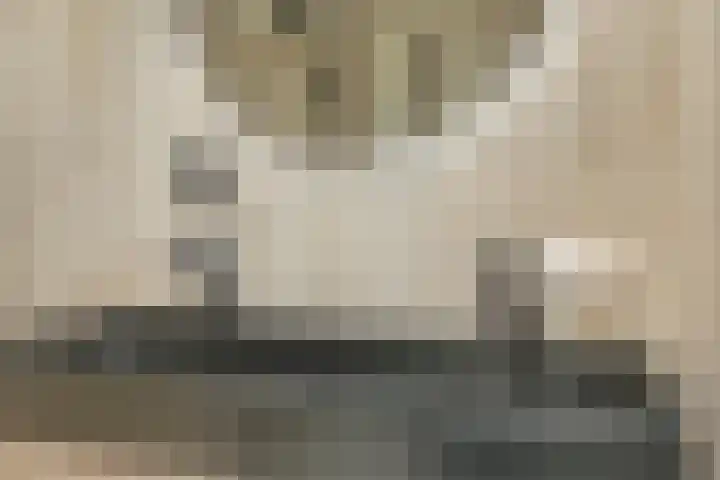 Julianaplantsoen 112 Diemen thumbnail 16