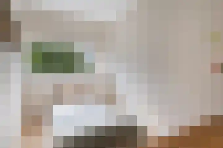 Julianaplantsoen 112 Diemen thumbnail 17