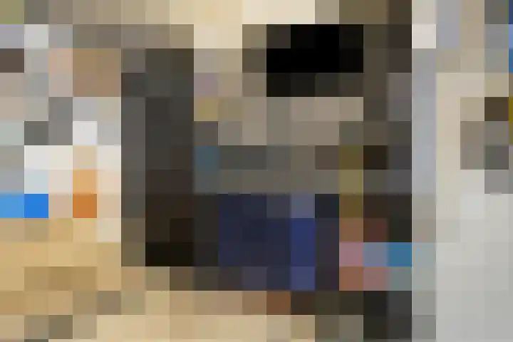 Julianaplantsoen 112 Diemen thumbnail 22