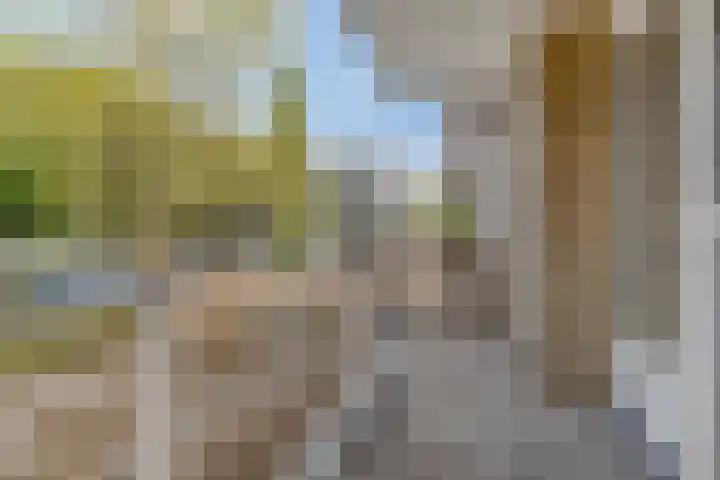 Julianaplantsoen 112 Diemen thumbnail 25