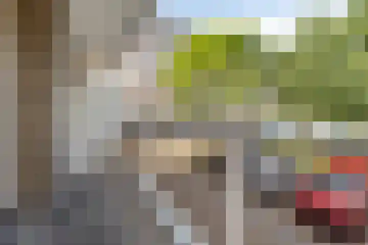 Julianaplantsoen 112 Diemen thumbnail 26