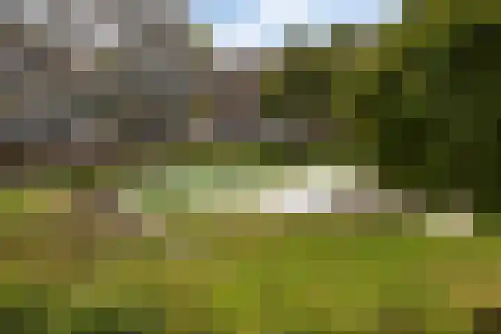 Julianaplantsoen 112 Diemen thumbnail 28