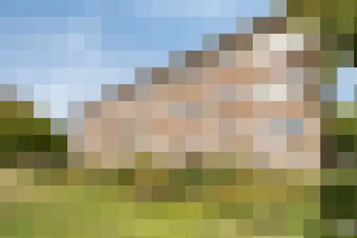 Julianaplantsoen 112 Diemen thumbnail 29