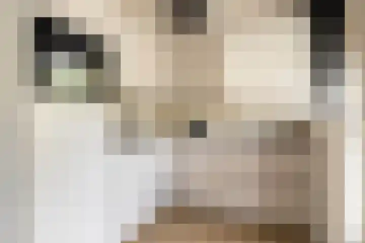 Julianaplantsoen 112 Diemen thumbnail 4
