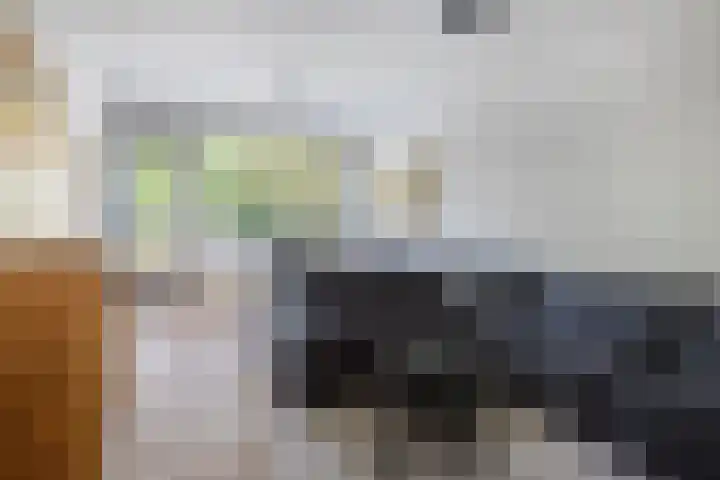 Julianaplantsoen 112 Diemen thumbnail 7