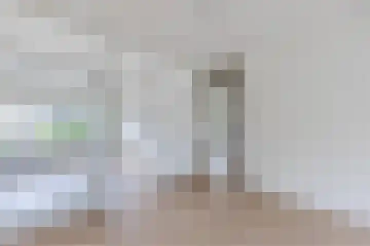 Julianaplantsoen 114 Diemen thumbnail 11