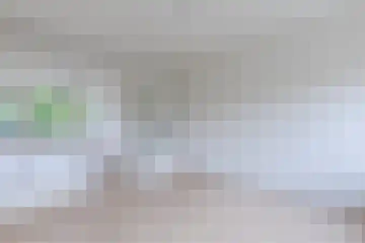 Julianaplantsoen 114 Diemen thumbnail 16