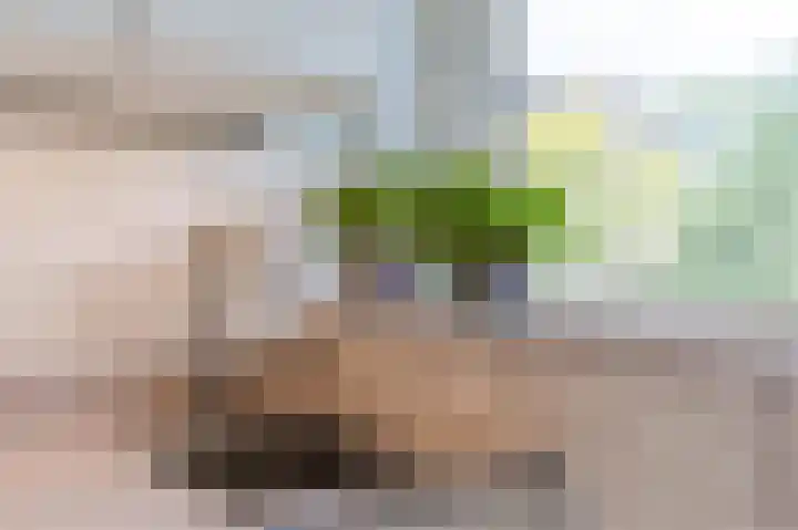 Julianaplantsoen 114 Diemen thumbnail 20