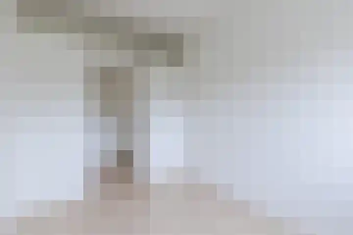 Julianaplantsoen 114 Diemen thumbnail 22
