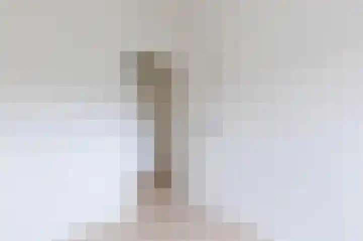 Julianaplantsoen 114 Diemen thumbnail 24