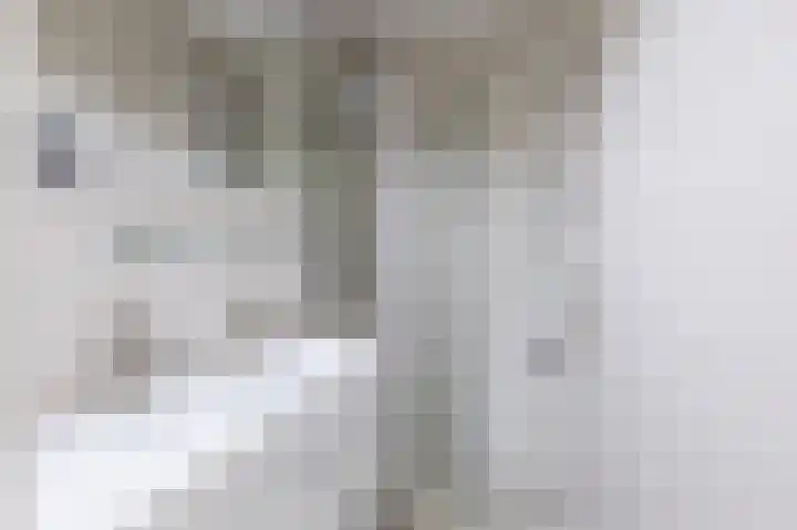 Julianaplantsoen 114 Diemen thumbnail 25