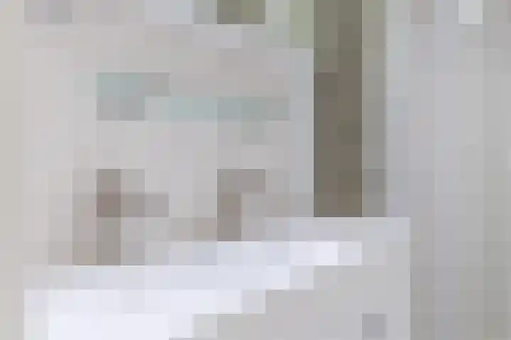 Julianaplantsoen 114 Diemen thumbnail 26