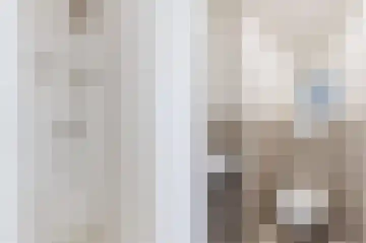 Julianaplantsoen 114 Diemen thumbnail 29