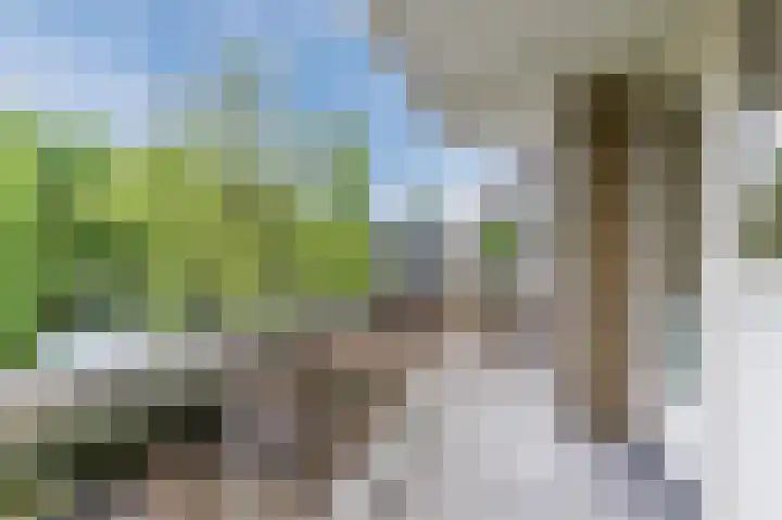 Julianaplantsoen 114 Diemen thumbnail 31
