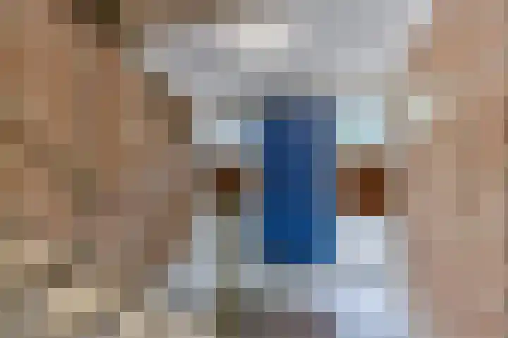 Julianaplantsoen 114 Diemen thumbnail 5