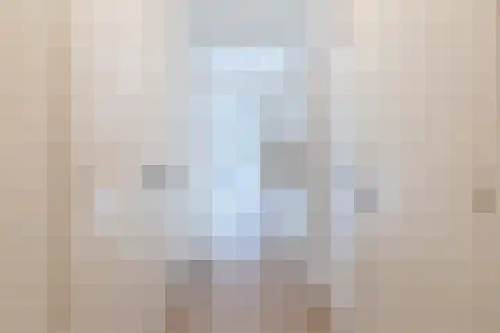 Julianaplantsoen 114 Diemen thumbnail 7