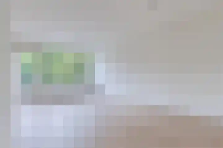 Julianaplantsoen 114 Diemen thumbnail 9