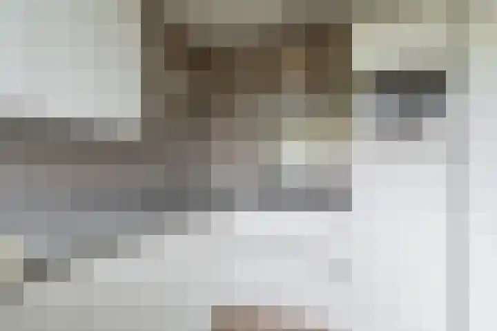 Julianaplantsoen 122 Diemen thumbnail 10