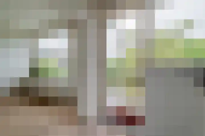 Julianaplantsoen 122 Diemen thumbnail 12