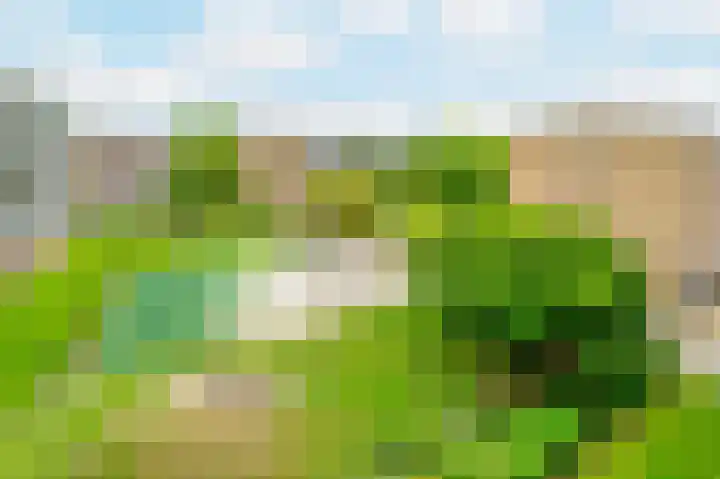 Julianaplantsoen 122 Diemen thumbnail 17