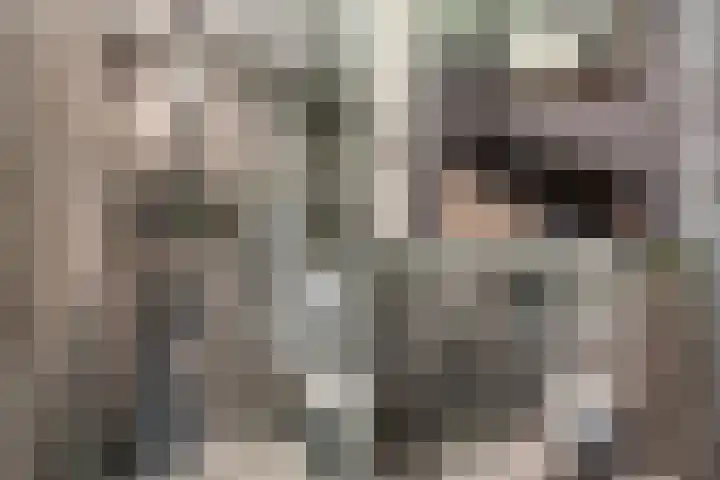 Julianaplantsoen 122 Diemen thumbnail 27
