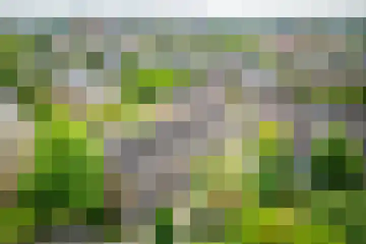 Julianaplantsoen 122 Diemen thumbnail 39