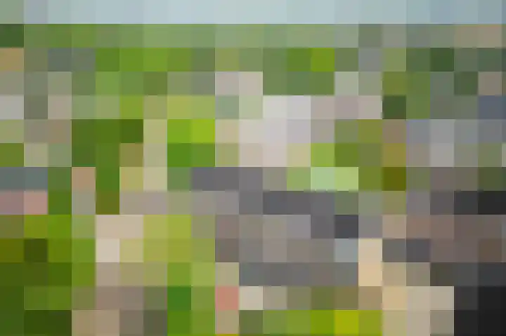 Julianaplantsoen 122 Diemen thumbnail 41
