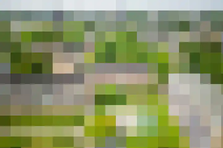 Julianaplantsoen 122 Diemen thumbnail 42