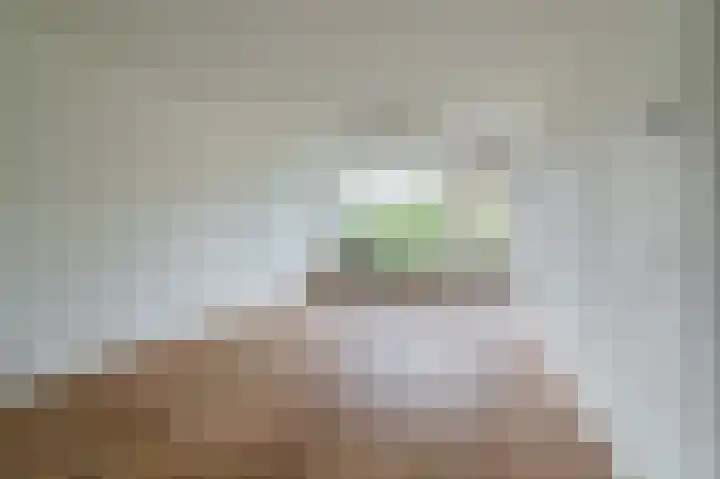 Julianaplantsoen 122 Diemen thumbnail 6