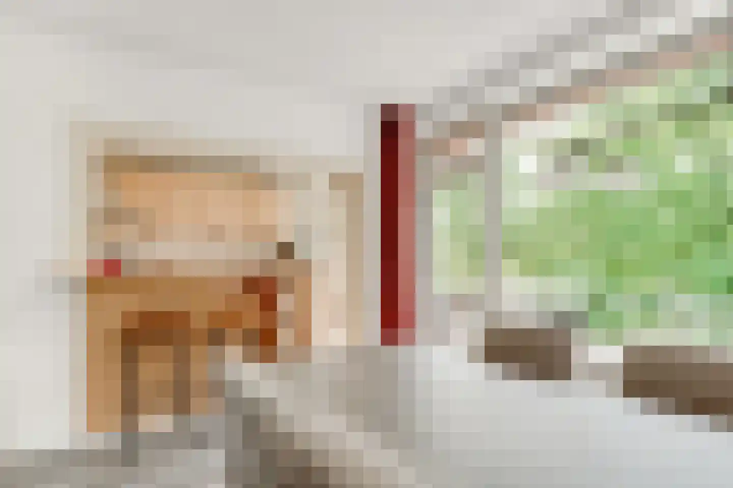 Julianaplantsoen 139 Diemen thumbnail 10