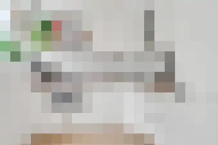 Julianaplantsoen 145 Diemen thumbnail 10