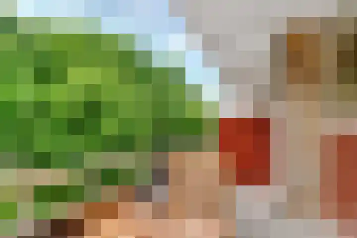 Julianaplantsoen 145 Diemen thumbnail 14