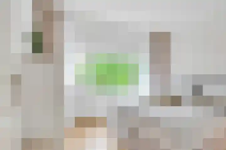 Julianaplantsoen 145 Diemen thumbnail 19