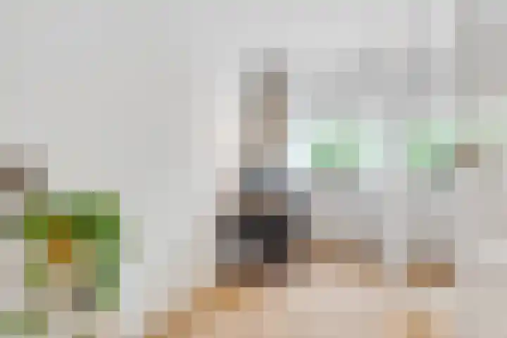 Julianaplantsoen 145 Diemen thumbnail 24