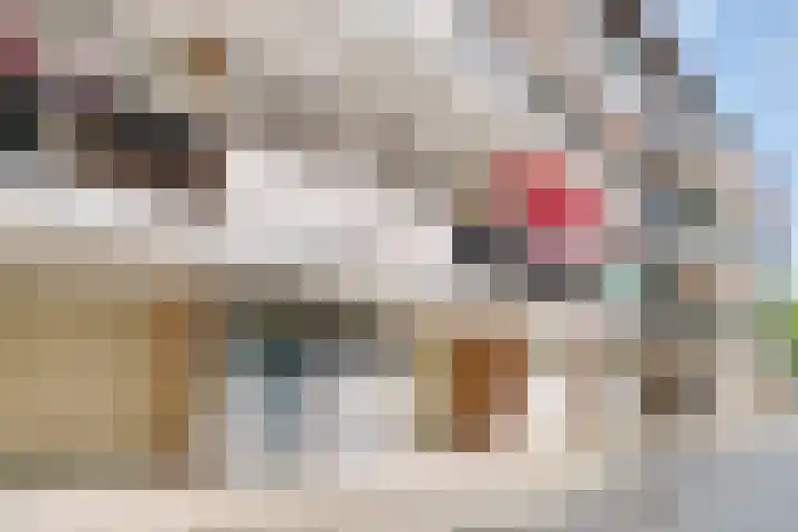 Julianaplantsoen 145 Diemen thumbnail 32