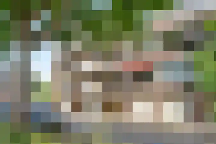 Julianaplantsoen 145 Diemen thumbnail 34