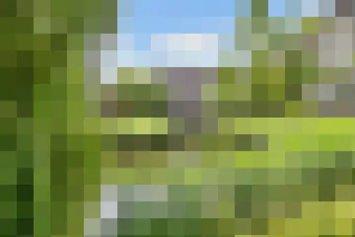 Julianaplantsoen 145 Diemen thumbnail 38