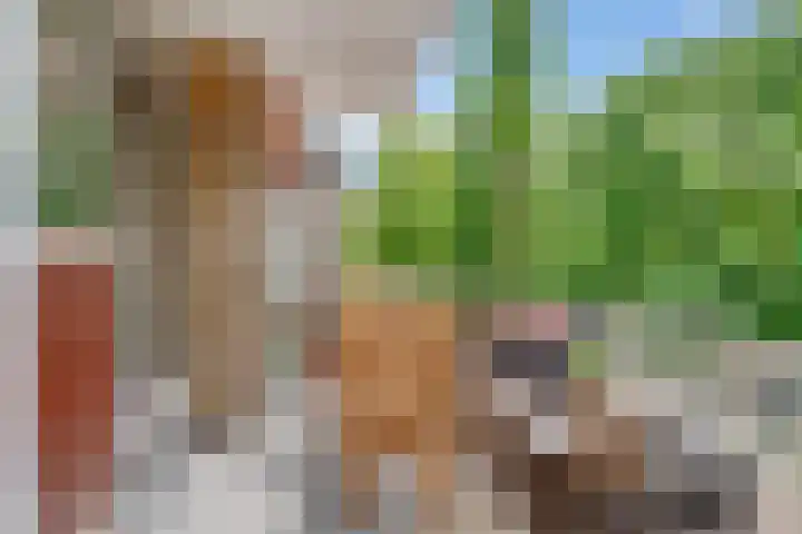 Julianaplantsoen 145 Diemen thumbnail 4