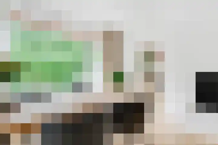 Julianaplantsoen 145 Diemen thumbnail 8