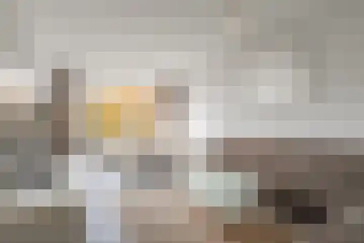 Julianaplantsoen 153 Diemen thumbnail 10