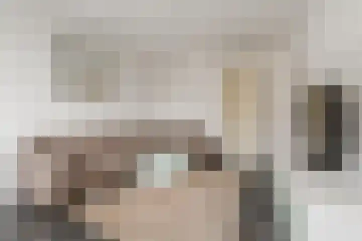 Julianaplantsoen 153 Diemen thumbnail 15